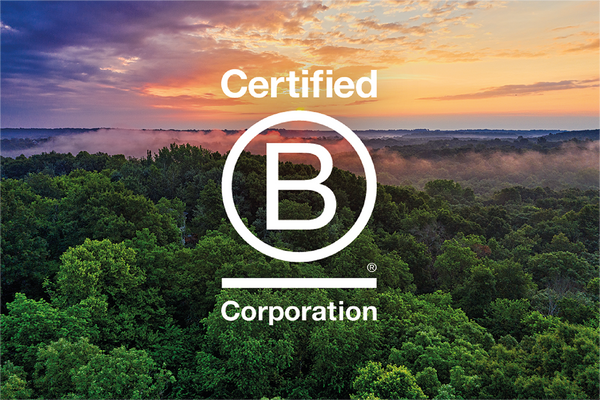 Le label B Corp : L'impact positif des entreprises, récompensé.