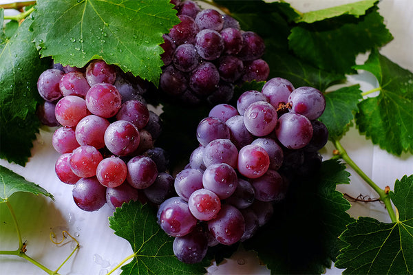 Qu'est-ce que le simili cuir de raisin?