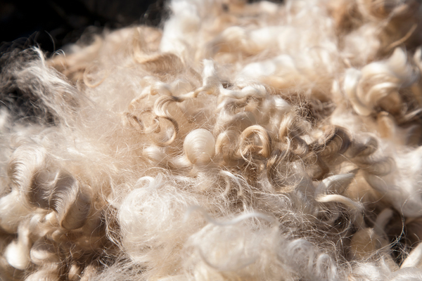 Qu'est-ce que la laine recyclée ?