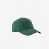 Verte
