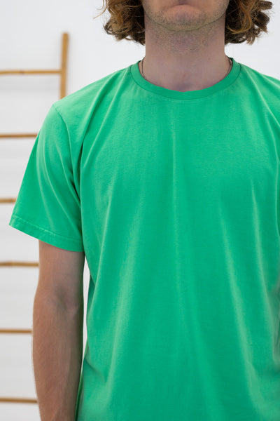 Classic Organic Tee - Colorful Standard