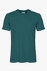Ocean green