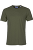 Seaweed green