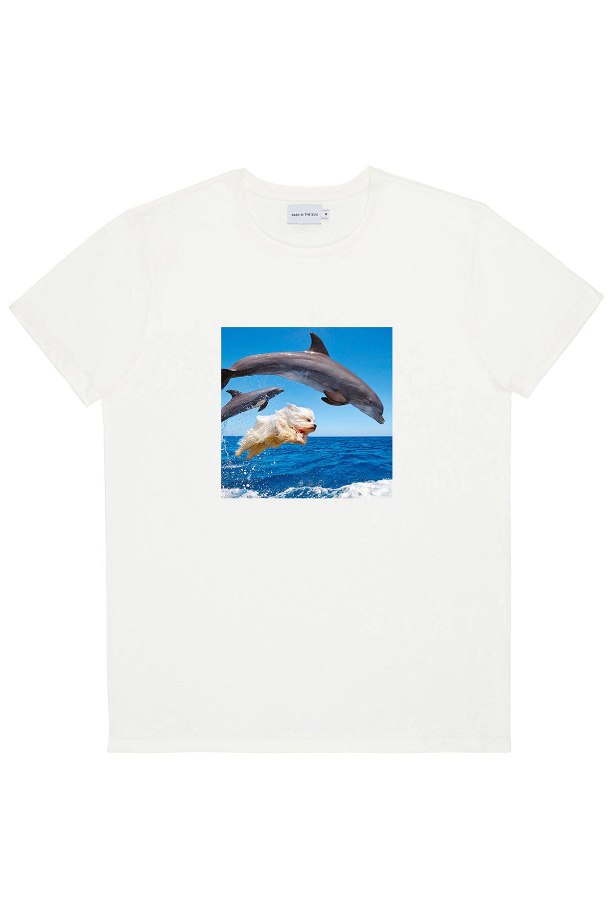 T-Shirt Dolphins - Bask in the sun