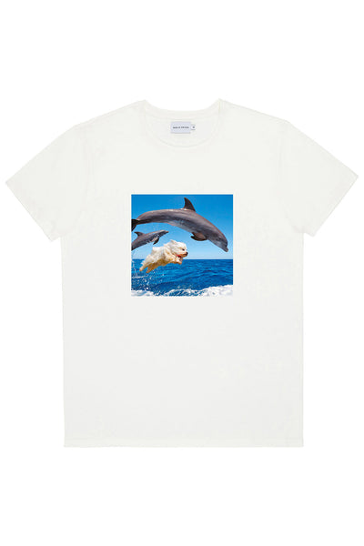 T-Shirt Dolphins - Bask in the sun